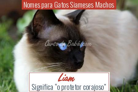 Nomes para Gatos Siameses Machos - Liam