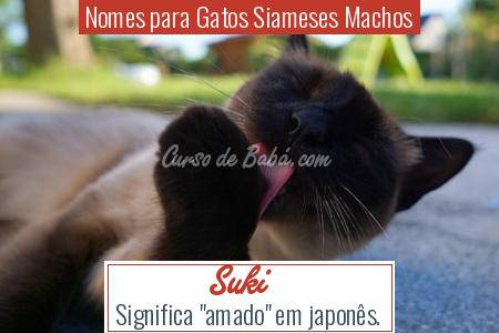 Nomes para Gatos Siameses Machos - Suki