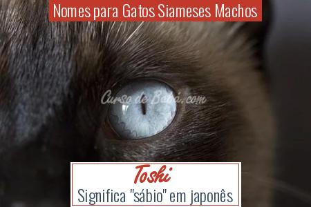 Nomes para Gatos Siameses Machos - Toshi