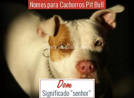 Nomes para Cachorros Pit Bull - Dom