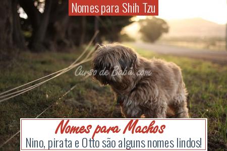 Nomes para Shih Tzu - Nomes para Machos